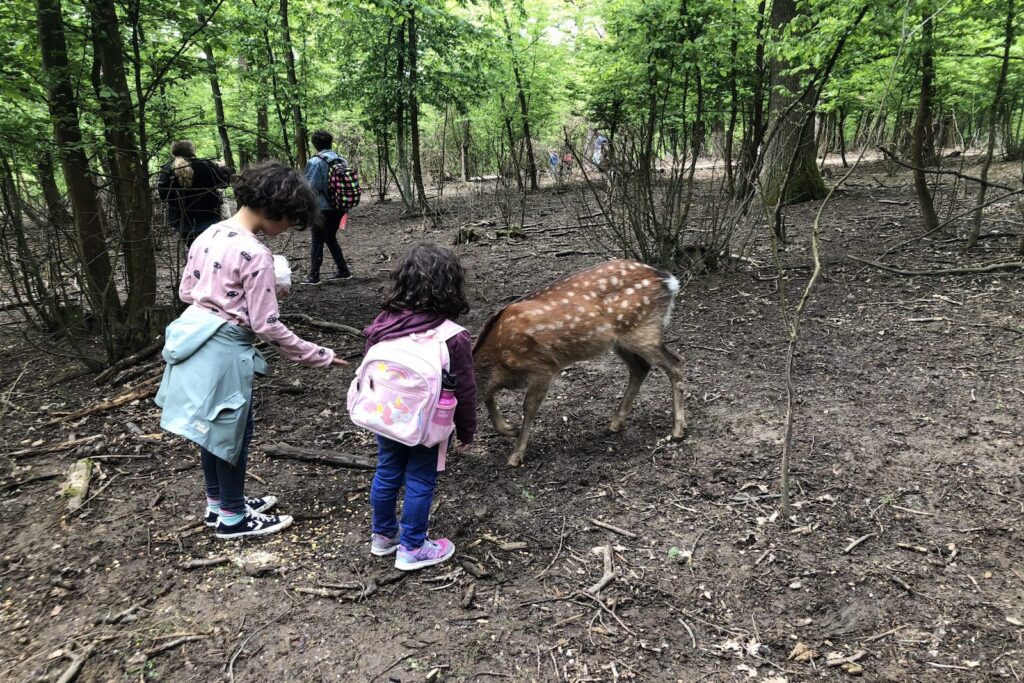 Kinder mit Sikahirsch