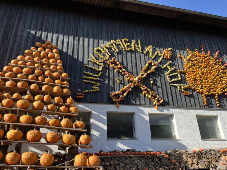 Kürbishof in der Nähe von Wien: Franzlbauer