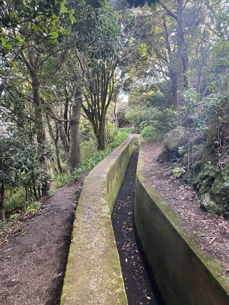 Levada Madeira